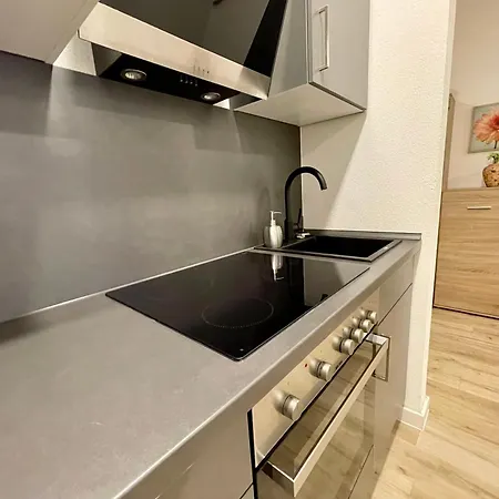 Neu Goldstadt Schloessle-galerie Zentrum Apartment