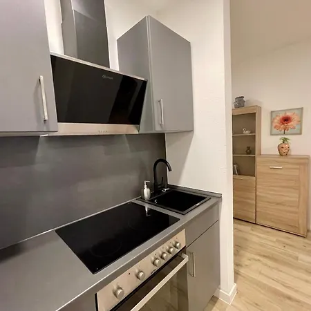 Apartment Neu Goldstadt Schloessle-galerie Zentrum *